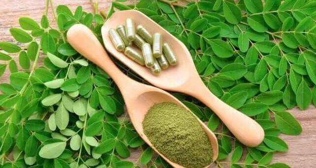 Benefit of moringa for liver