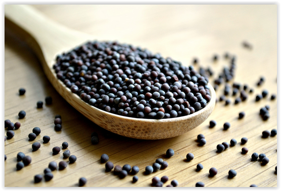 Mustard seed and 08 diseases it relieves